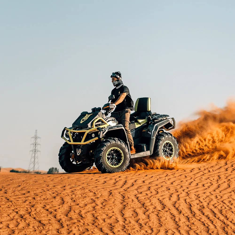 Feel the Pulse of the Desert