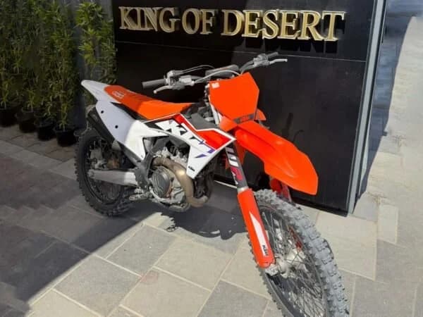 Offroad riding Dubai desert