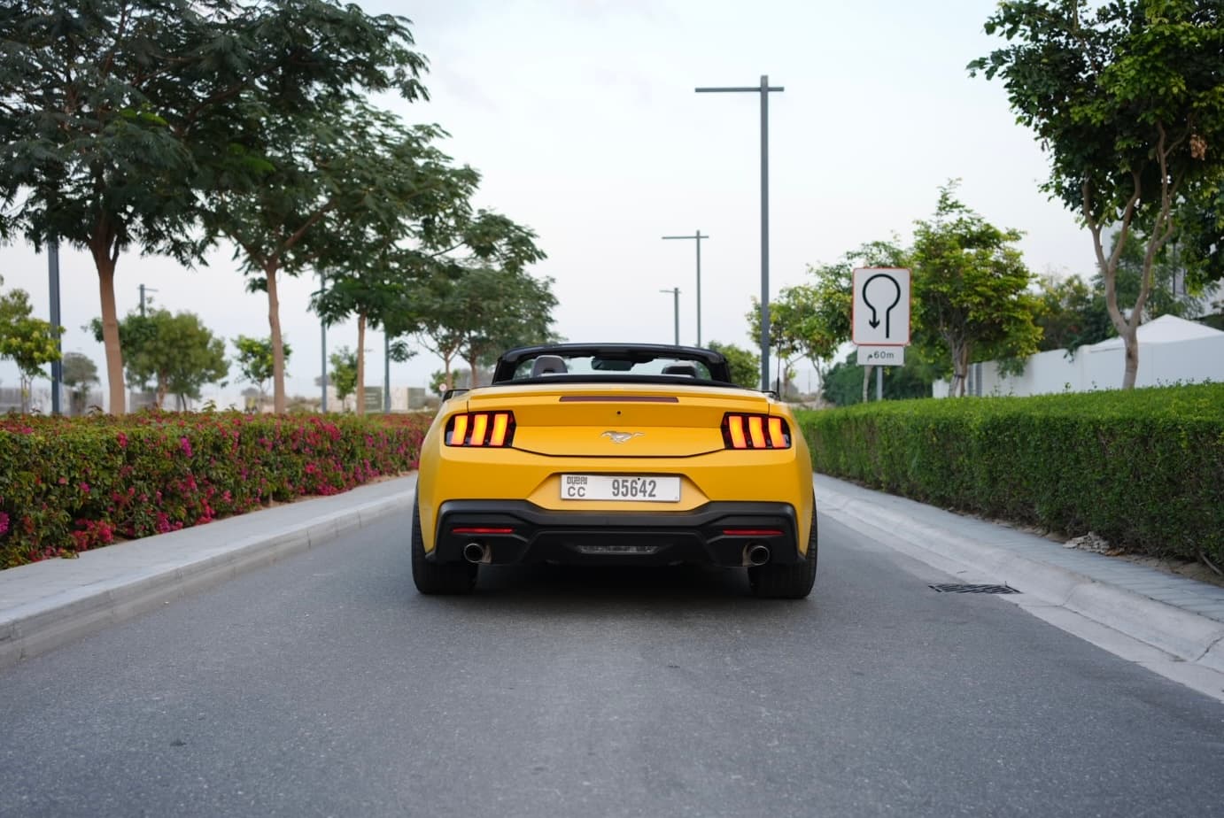 FOrd MUSTANG ECO BOOST 2024 rental Dubai