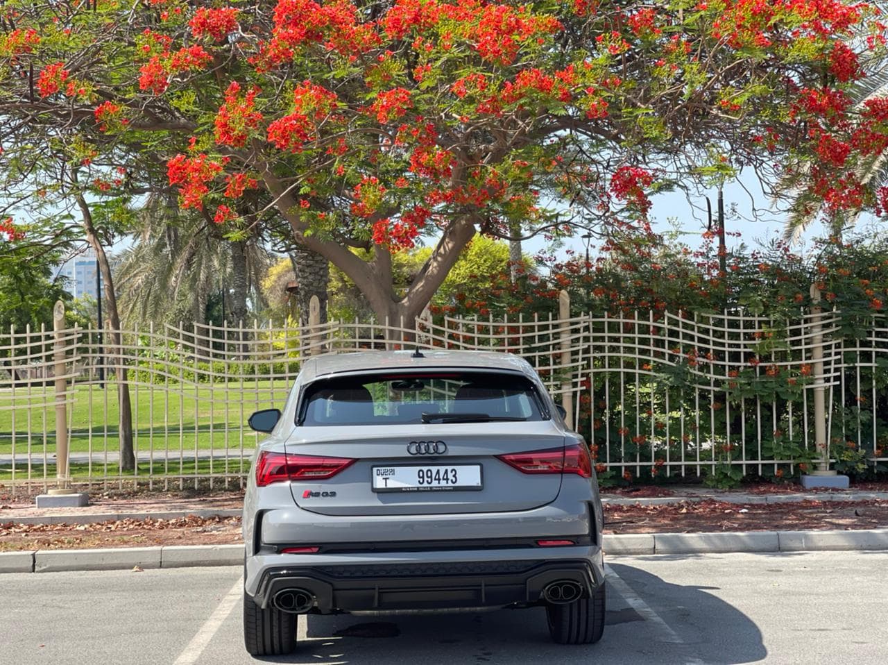 Audi RS Q3 2021